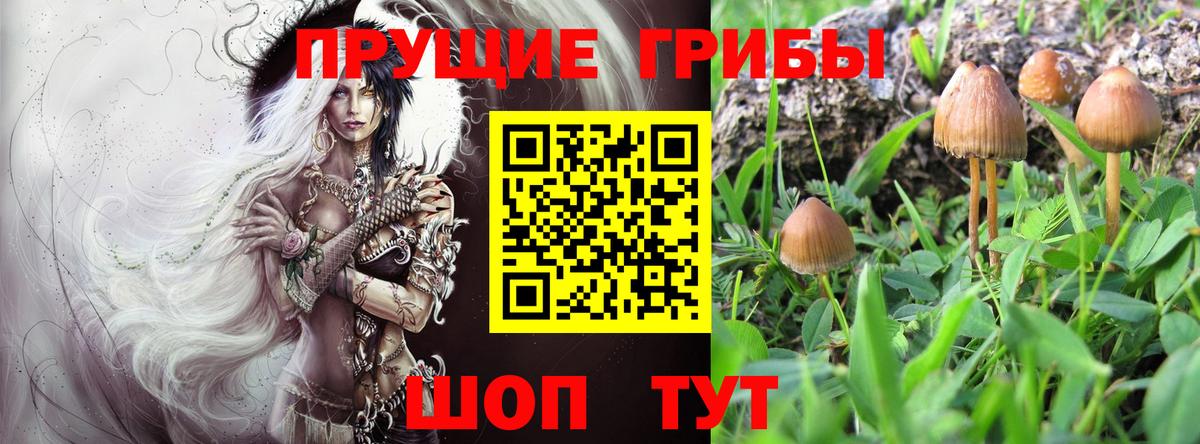 Галлюциногенные грибы Psilocybine cubensis  Вход с VPN  Татарск 